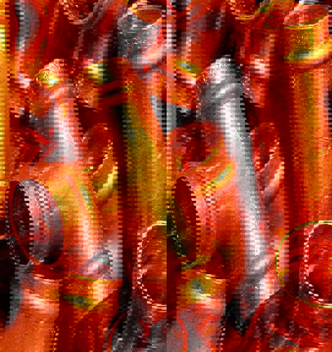 1267824 10153253326500065 914541178 O